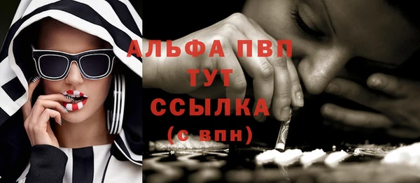 дживик Снежногорск