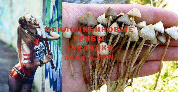 молекула духа Карталы