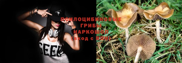 соль курить ск Касимов