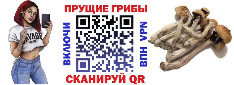 Псилоцибиновые грибы прущие грибы Купить Гаджиево